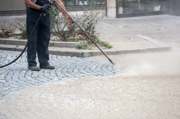 Best Boat and Dock Cleaning  in Catlin, IL